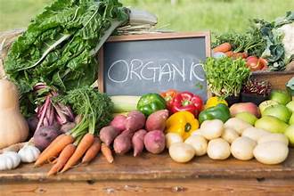 organic gardening tips